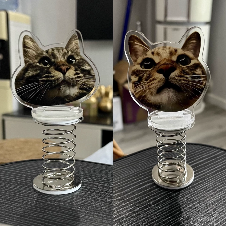 Buy 1 Get 1 - Custom Acrylic Shaking Bobblehead Standee photo review