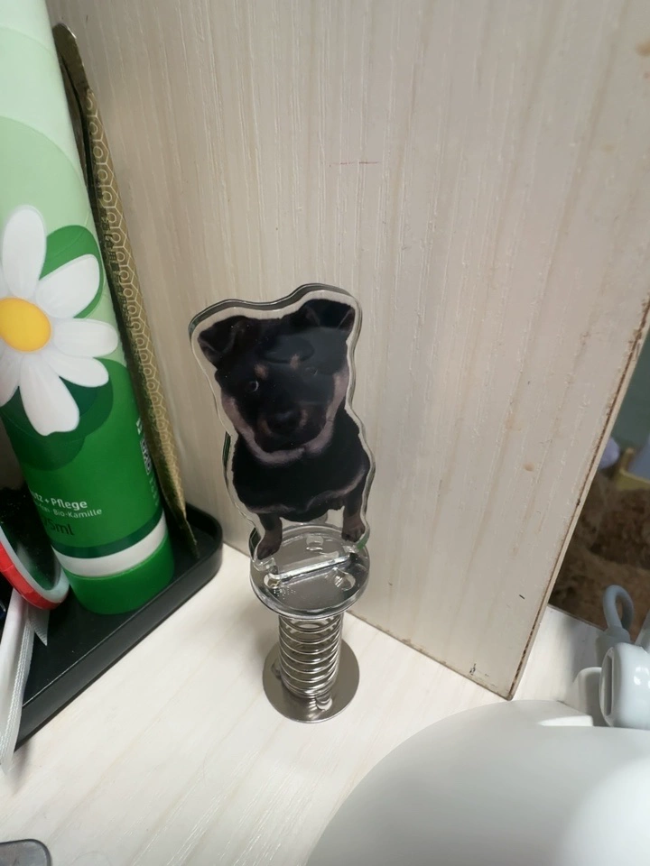 Buy 1 Get 1 - Custom Acrylic Shaking Bobblehead Standee photo review