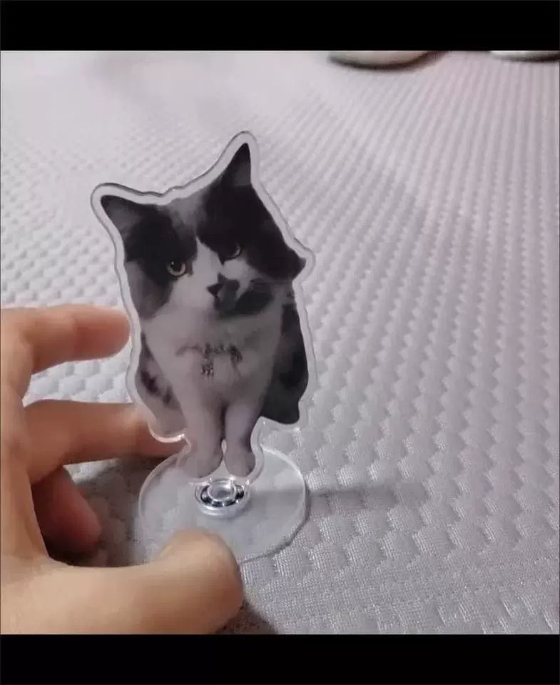 Buy 1 Get 1 Free - Custom Acrylic Spinning Standee & Shaker photo review