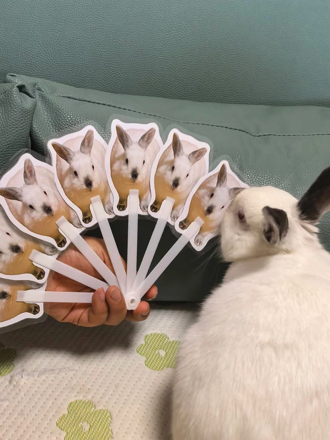 Custom 1-7 Photo Hand Fan - Stay Cool in Summer Heatwave | Personalized Concert & Festival Prop photo review